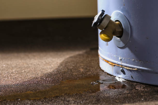 Best 24/7 water damage repair  in Taylor Creek, FL