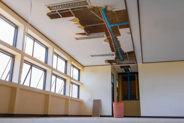 Best Professional water damage repair  in Taylor Creek, FL