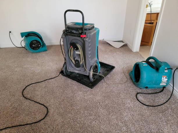 Best Water damage cleanup near me  in Taylor Creek, FL