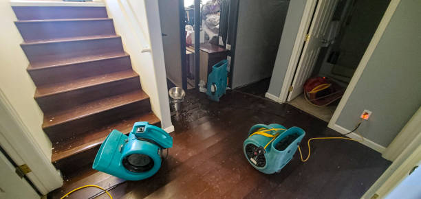 Best Water damage mitigation services  in Taylor Creek, FL