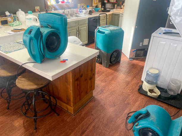 Best Emergency water damage restoration  in Taylor Creek, FL