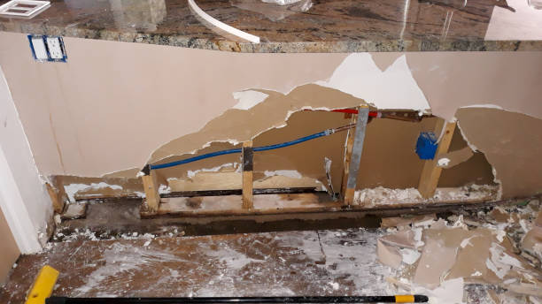 Best Flooded house restoration  in Taylor Creek, FL