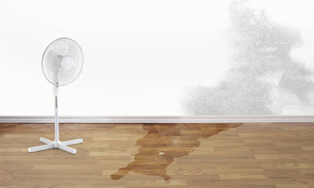 Best 24/7 water damage repair  in Taylor Creek, FL