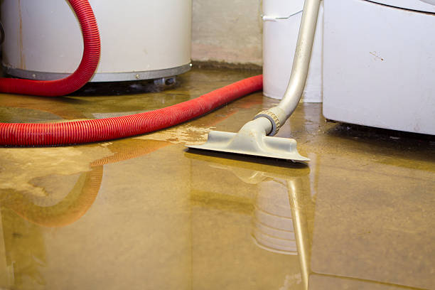 Best Emergency water extraction  in Taylor Creek, FL