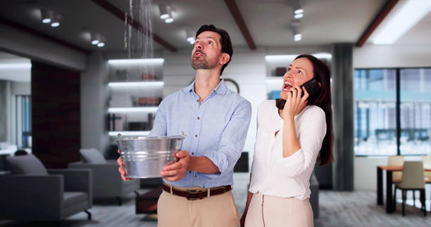 Best Fire Damage Restoration  in Taylor Creek, FL