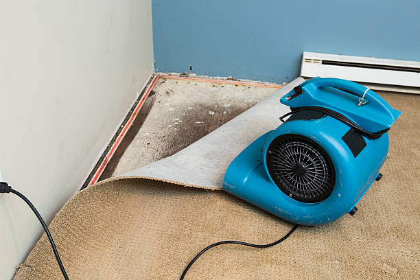 Professional Water damage restoration in Taylor Creek, FL
